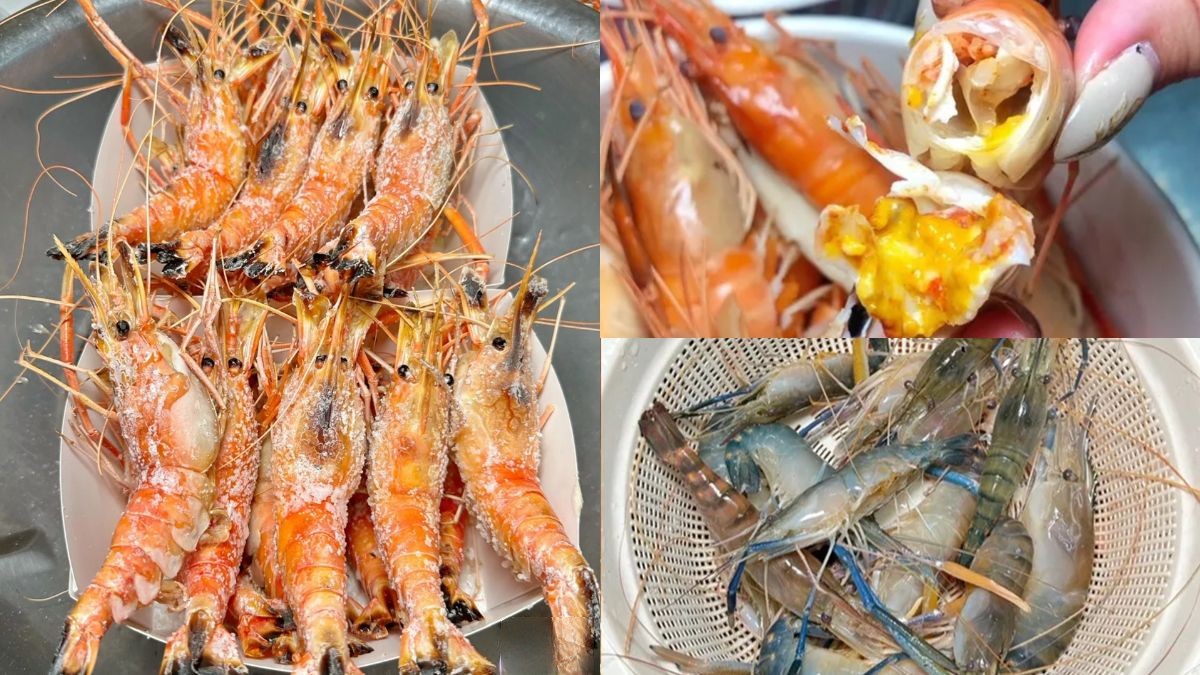蝦控吃起來！台南現撈「活蝦料理」免剝蝦殼爽嗑，滿滿蝦膏＋蝦肉痛風爆表