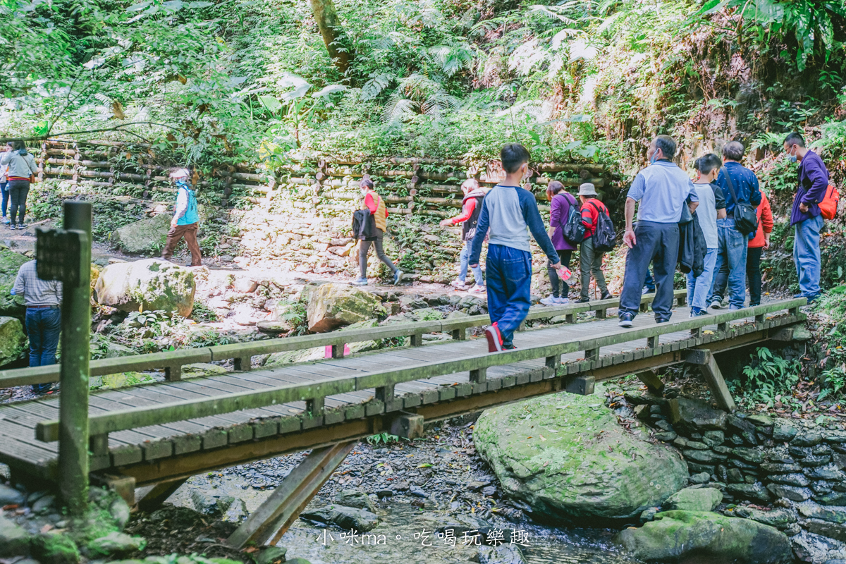 夯爆IG！宜蘭「新手祕境步道」一次賞山林、瀑布美景，網美必拍Z字溪流階梯