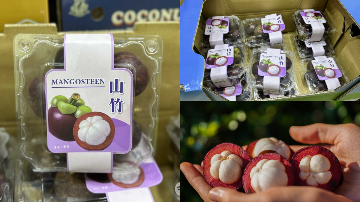 好市多進口山竹啦！會員嗨翻搶買，內行人再曝１處買更便宜