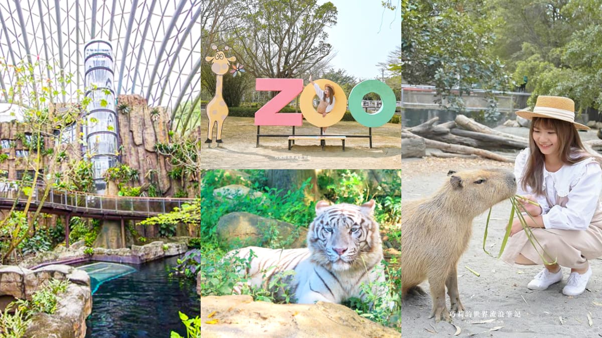 暑假帶小孩放電！必逛「最強動物園」TOP６：全台面積最大、12歲以下免費入園