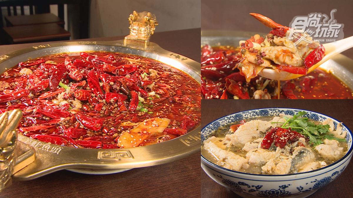 台中必吃正宗四川味！爽嗑道地酸菜魚、牛蛙鍋，成都闆娘原味重現家鄉菜