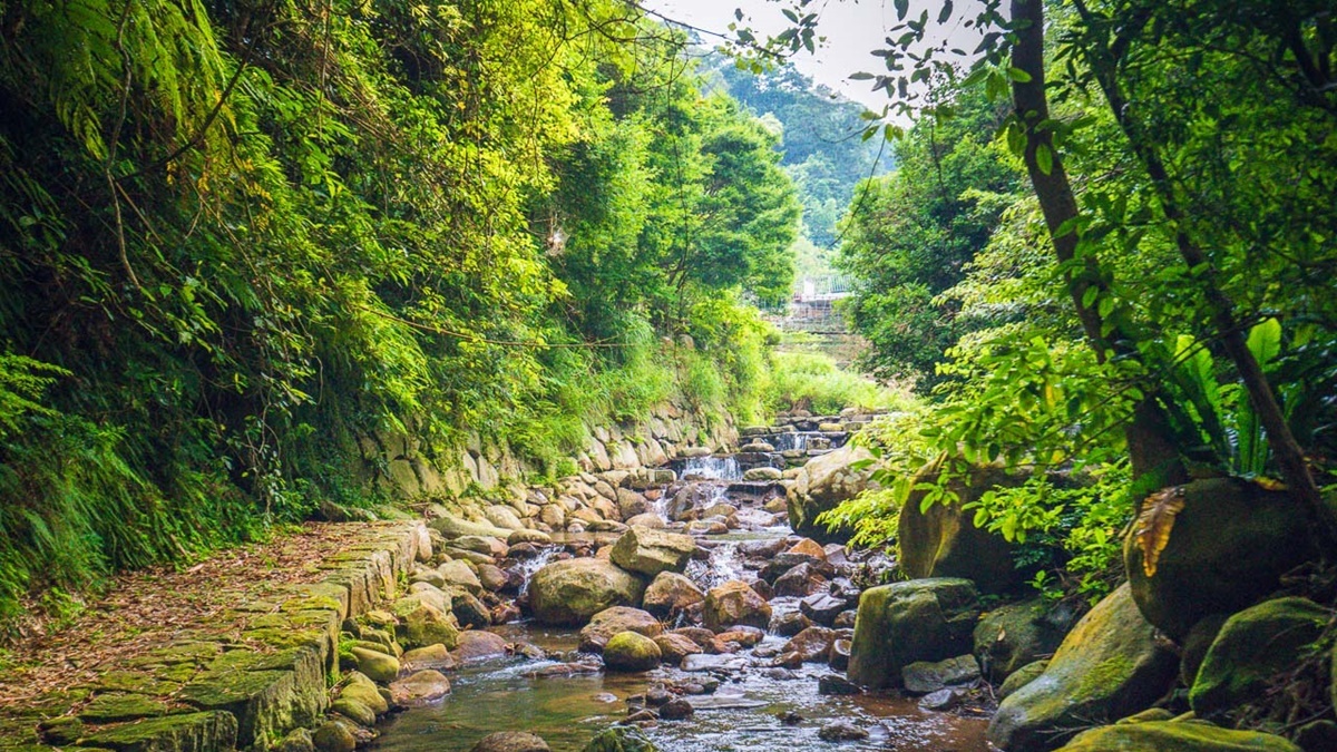 陽明山玩水祕境！「玻璃屋餐廳」前方就是戲水區，現烤桶仔雞預約排到９月