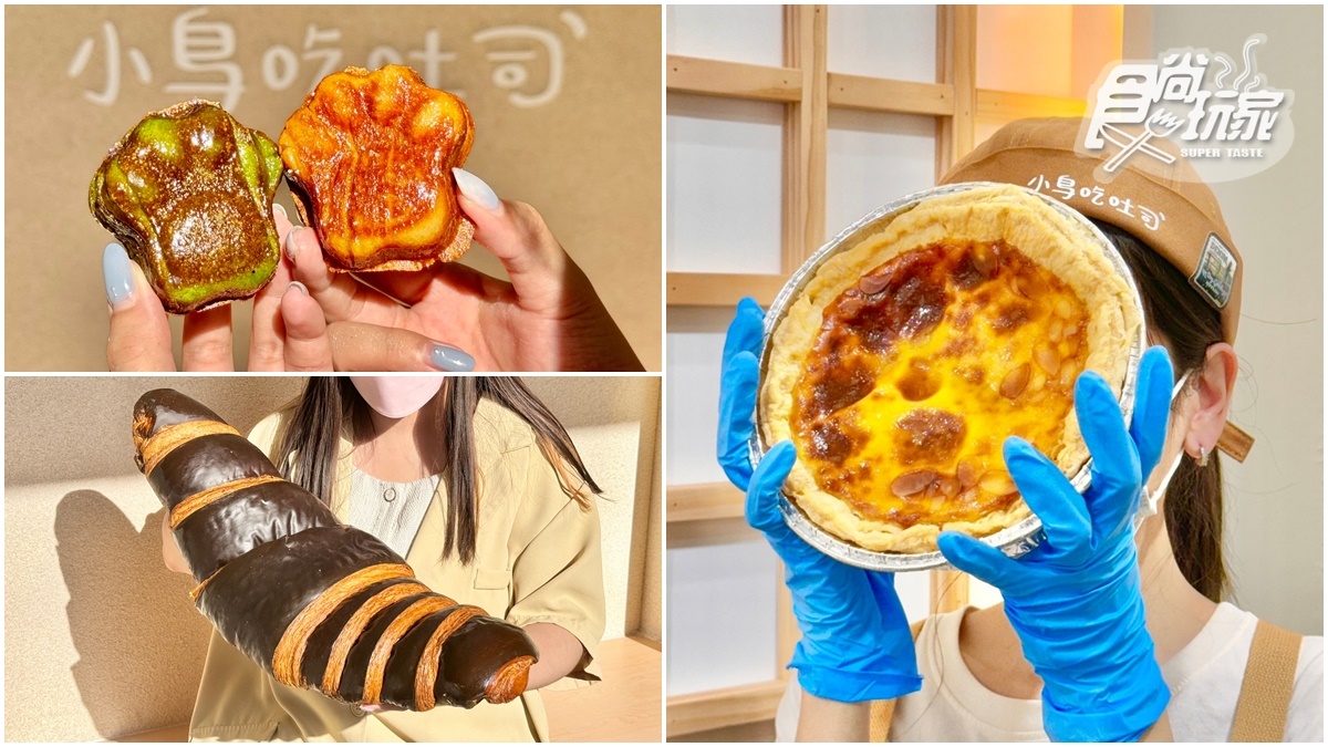 比臉大蛋撻開賣！小鳥吃吐司改裝「買一送一」，必買韓國可頌餅乾、巨型可頌