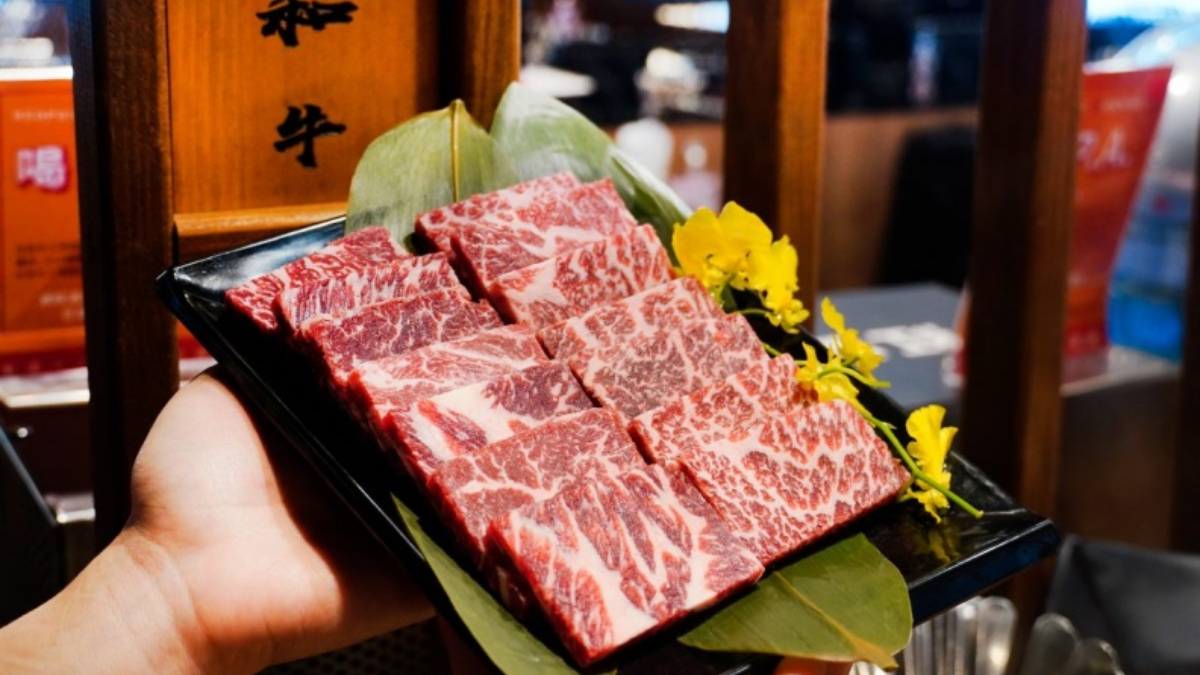 牡羊、金牛收14家優惠!幾歲送幾片肉、漢來海港8折,對身分證和牛吃到飽 牡羊、金牛收14家優惠!幾歲送幾片肉、漢來海港8折,對身分證和牛吃到飽