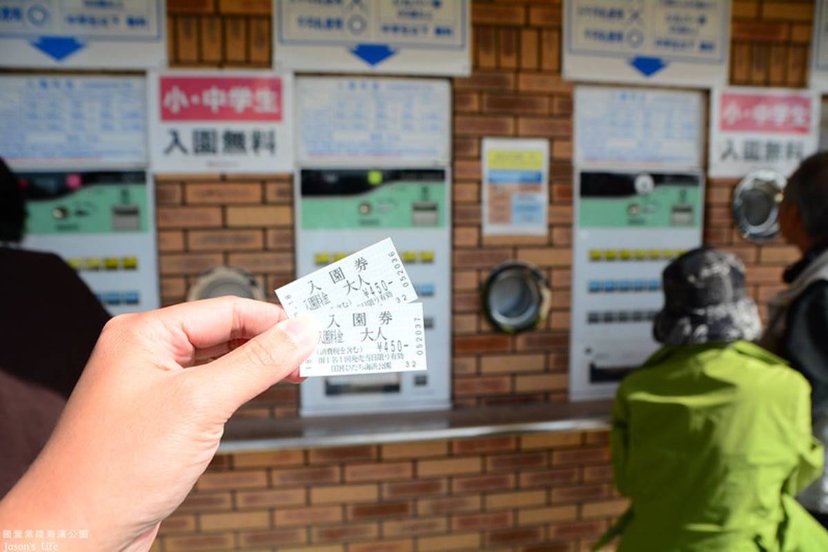 秋季限定「毛絨絨美景」!萬坪祕境公園打卡「千株波波草」,整片紅通通拍到飽 秋季限定「毛絨絨美景」!萬坪祕境公園打卡「千株波波草」,整片紅通通拍到飽