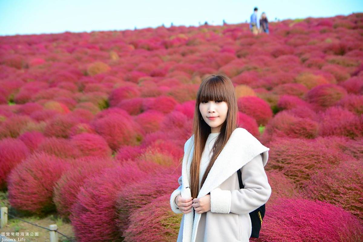 秋季限定「毛絨絨美景」!萬坪祕境公園打卡「千株波波草」,整片紅通通拍到飽 秋季限定「毛絨絨美景」!萬坪祕境公園打卡「千株波波草」,整片紅通通拍到飽