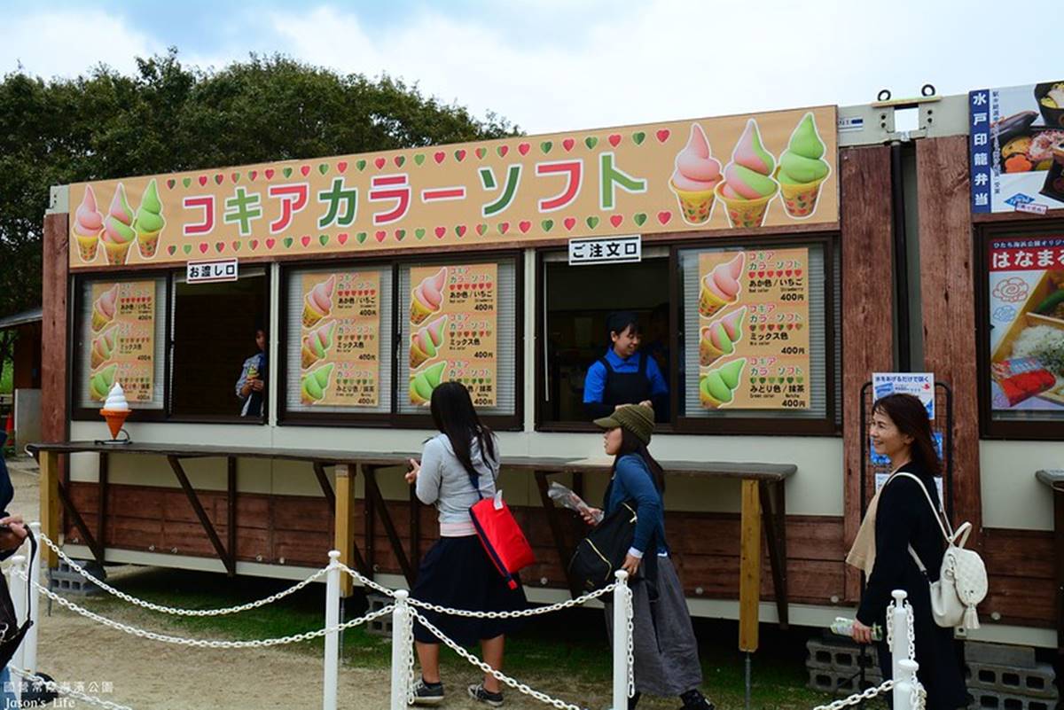 秋季限定「毛絨絨美景」!萬坪祕境公園打卡「千株波波草」,整片紅通通拍到飽 秋季限定「毛絨絨美景」!萬坪祕境公園打卡「千株波波草」,整片紅通通拍到飽