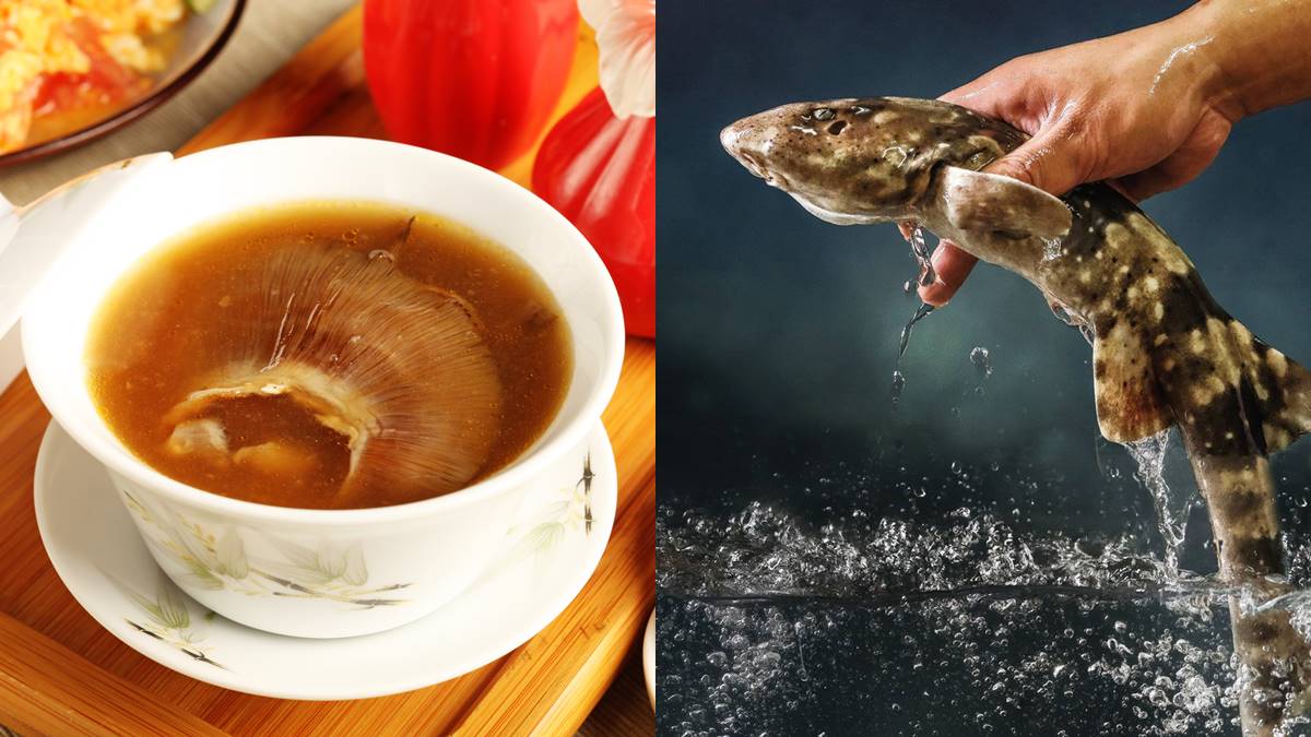 神祕「抗癌魚」曝光！早年便宜今身價如龍蝦，餐廳經典「１魚２吃」上桌