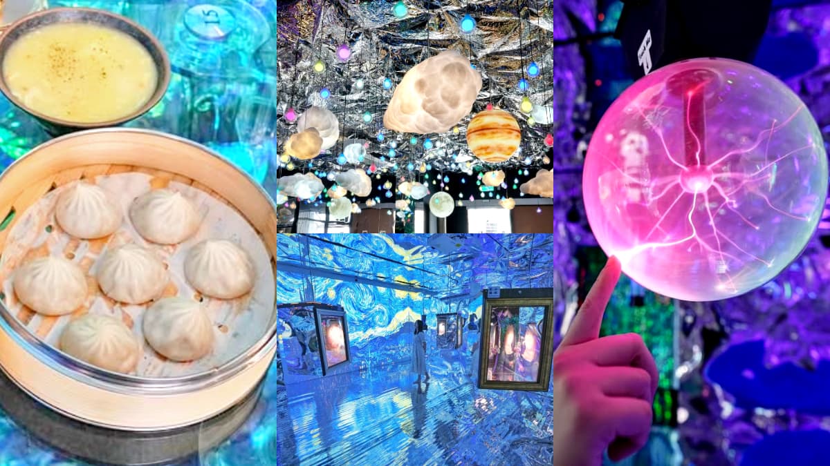 打卡爆紅「全台最美小籠包」在這！藏有迷你版teamLab，必拍４大沉浸式主題