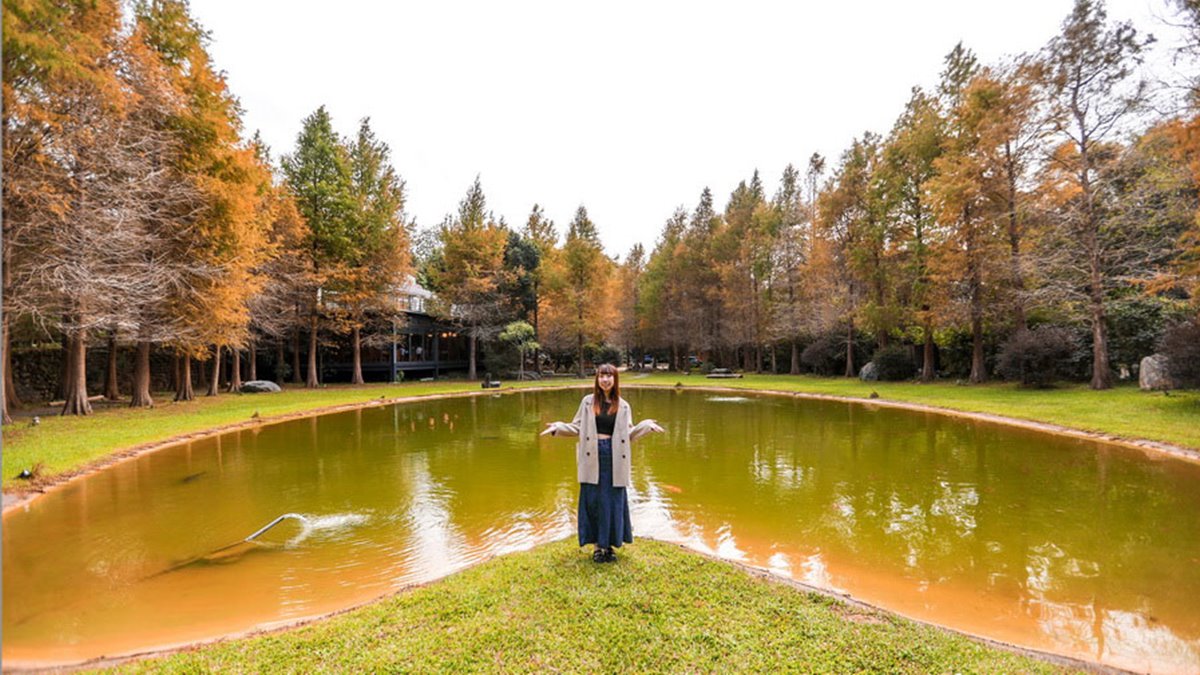 新竹關西秘境餐廳！玻璃屋賞落羽松、喝仙草雞湯，隱藏版愛心池倒影預約才能進