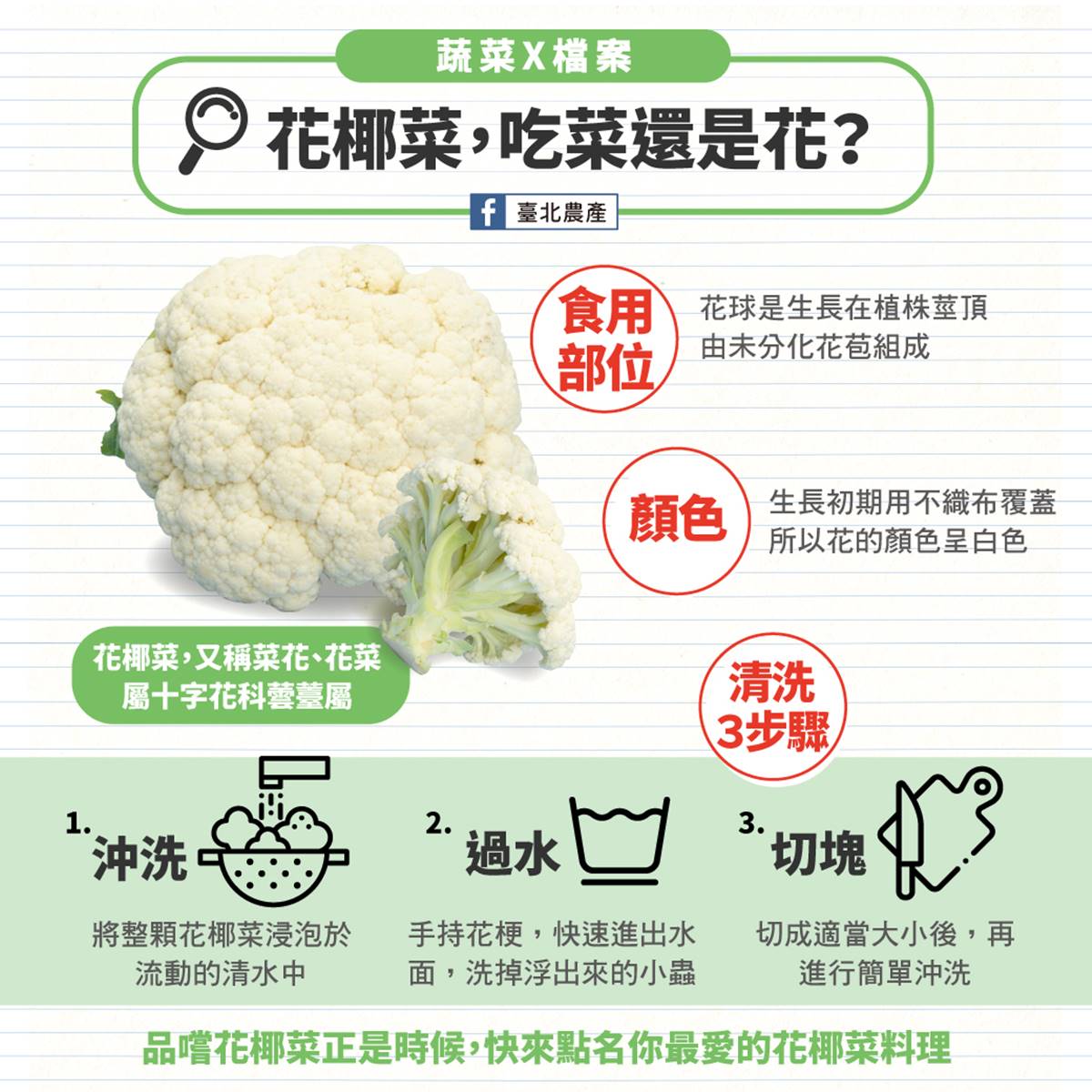 洗花椰菜別加鹽巴、小蘇打粉！專家教１招讓蟲蟲自然浮出，做錯恐讓農藥滲入