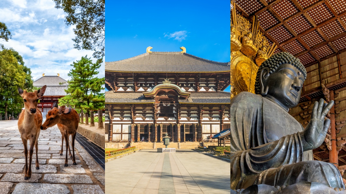 此生必看日本世界遺產TOP10！富士山、合掌村、姬路城，快來盤點去過幾個？