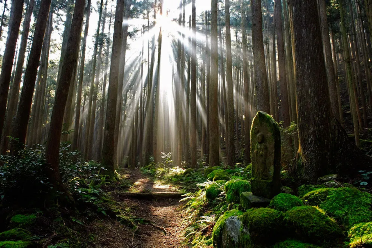 此生必看日本世界遺產TOP10！富士山、合掌村、姬路城，快來盤點去過幾個？