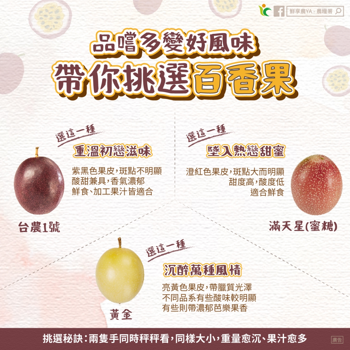 減肥聖品「百香果」怎麼挑?農民親授3招技巧,隱藏吃法+品種風味一次看 減肥聖品「百香果」怎麼挑?農民親授3招技巧,隱藏吃法+品種風味一次看
