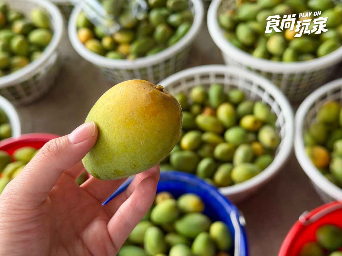 夏季最夯水果特價！農民親授「西瓜、芒果」挑選方式，口感＋必吃推薦一次看