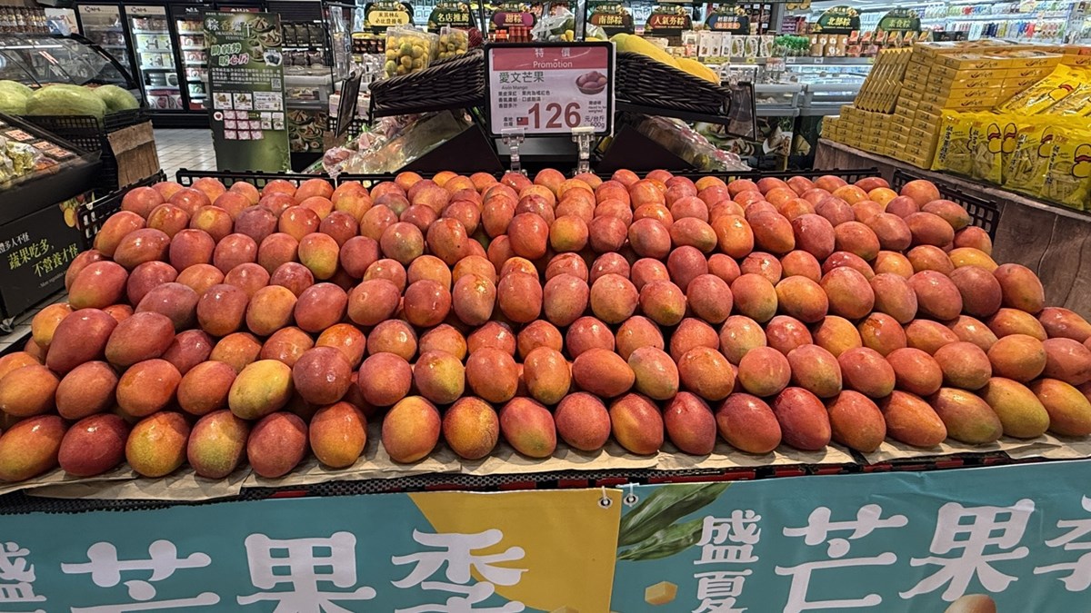 家樂福「芒果買２送１」快衝！愛文芒果價格「大腰斬」跌破百元，免費送金煌芒果