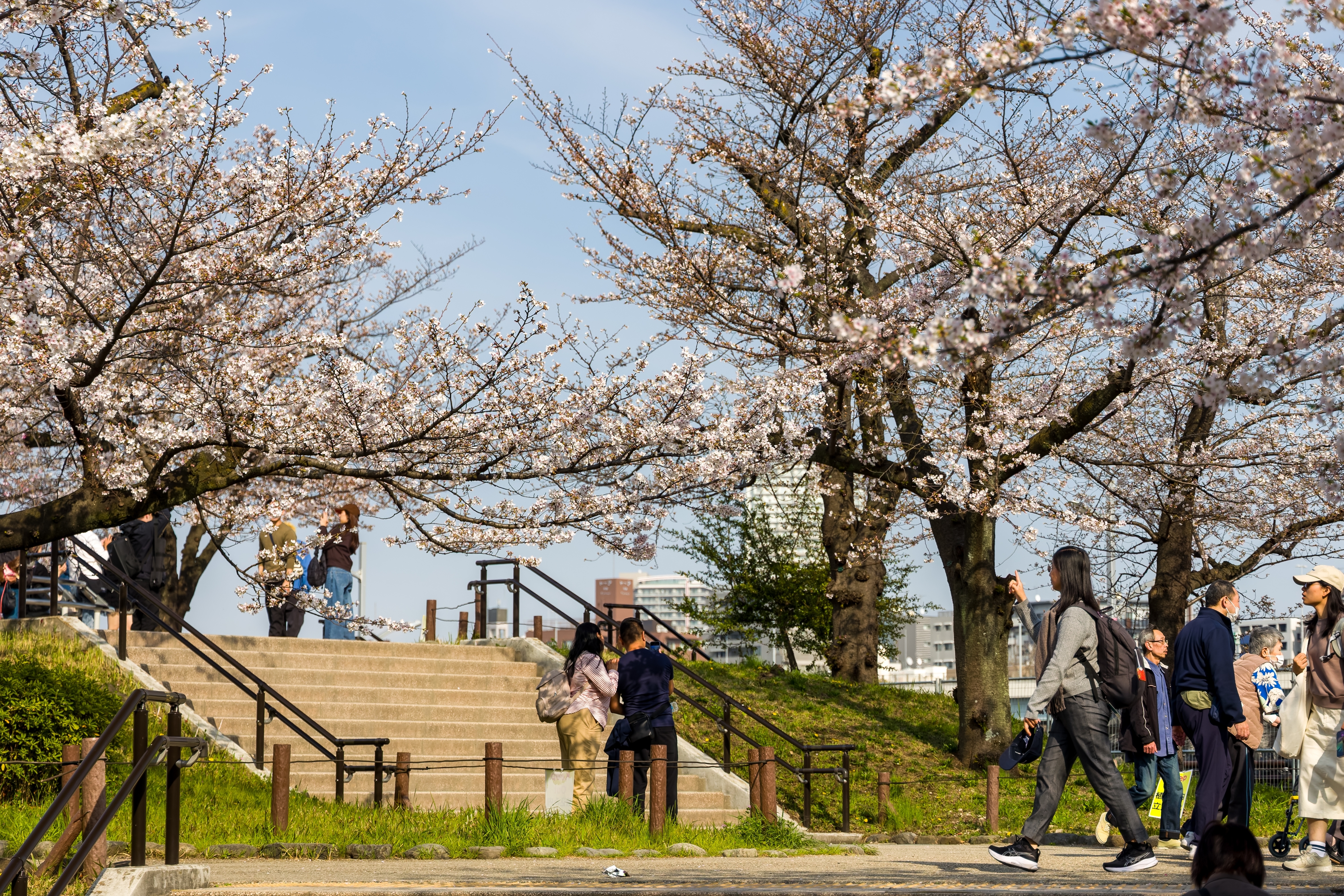 全球最幸福城市排行出爐！東京衝上第５名，台灣２城市擠進前50強