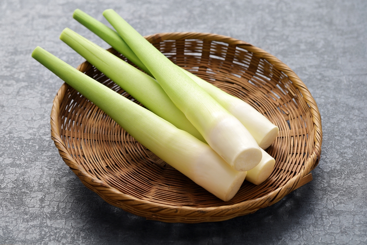 小滿當季！茭白筍黑點能吃嗎？不是發霉也不是蟲，一張圖看「美人腿」挑選關鍵