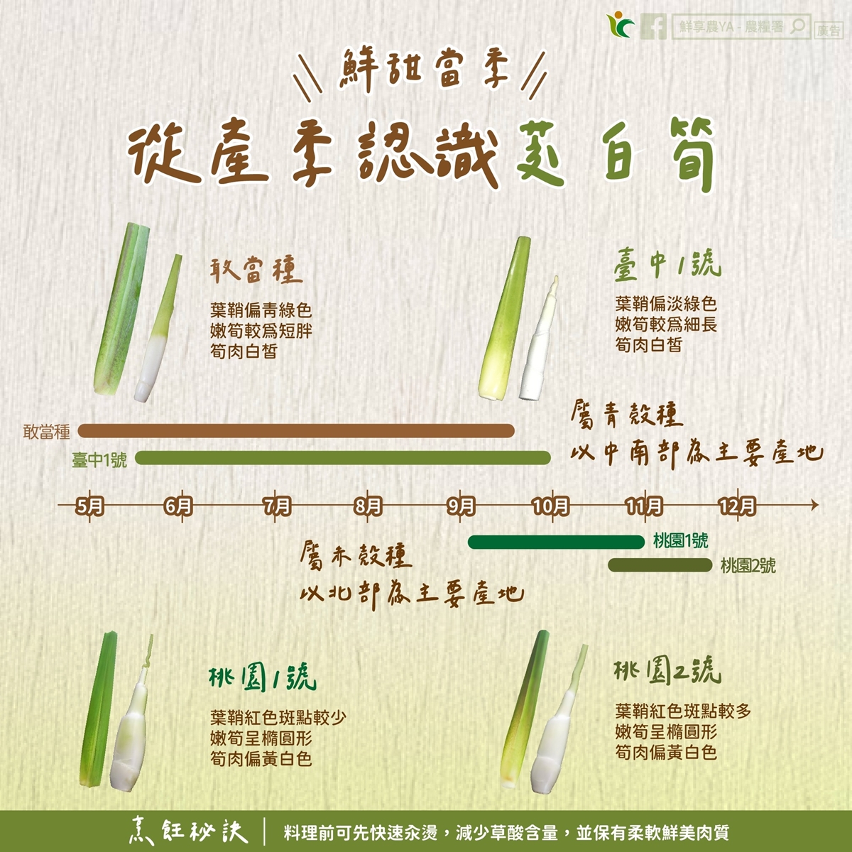 小滿當季！茭白筍黑點能吃嗎？不是發霉也不是蟲，一張圖看「美人腿」挑選關鍵
