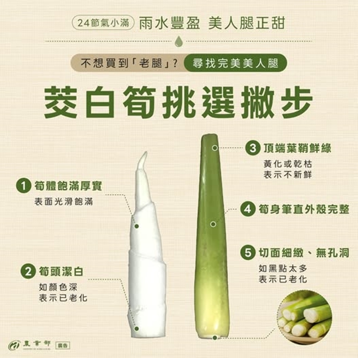 小滿當季！茭白筍黑點能吃嗎？不是發霉也不是蟲，一張圖看「美人腿」挑選關鍵