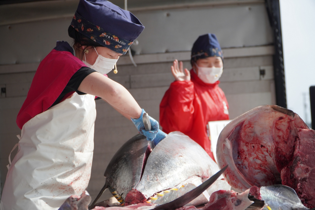 盛夏海港饗宴！屏東黑鮪魚季：百攤市集、鮪魚解體秀、免費送鮪魚料理