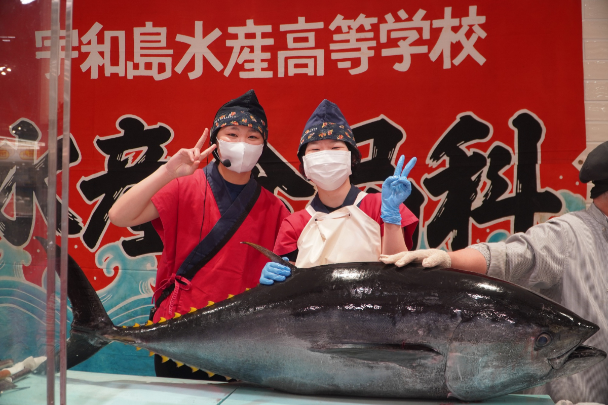 盛夏海港饗宴！屏東黑鮪魚季：百攤市集、鮪魚解體秀、免費送鮪魚料理