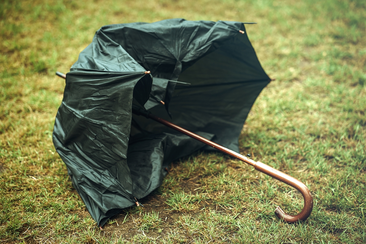 雨傘壞掉怎麼修?達人用1物幫傘延壽超牢固,加碼壞傘回收法做錯罰6000元 雨傘壞掉怎麼修?達人用1物幫傘延壽超牢固,加碼壞傘回收法做錯罰6000元