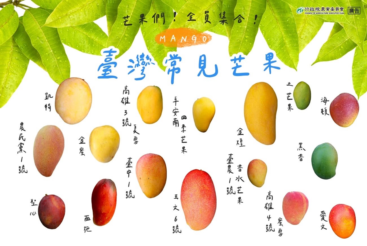 夏雪芒果被稱「芒果界LV」是最頂的？老饕揭真相：「這品種」才最強又便宜