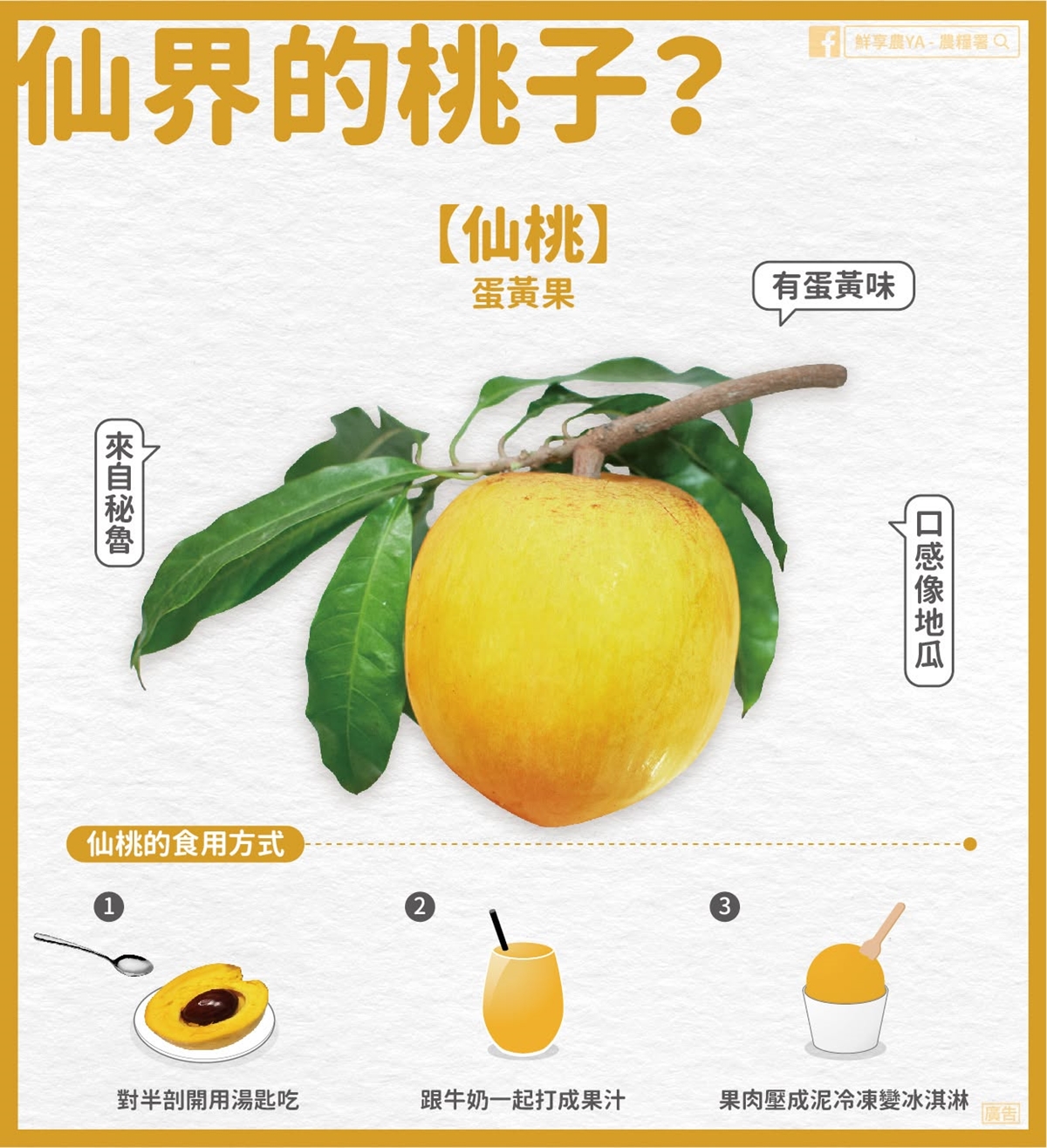 １水果被譽超級食物！有助護眼、提升免疫力，內行人揭這樣吃更美味