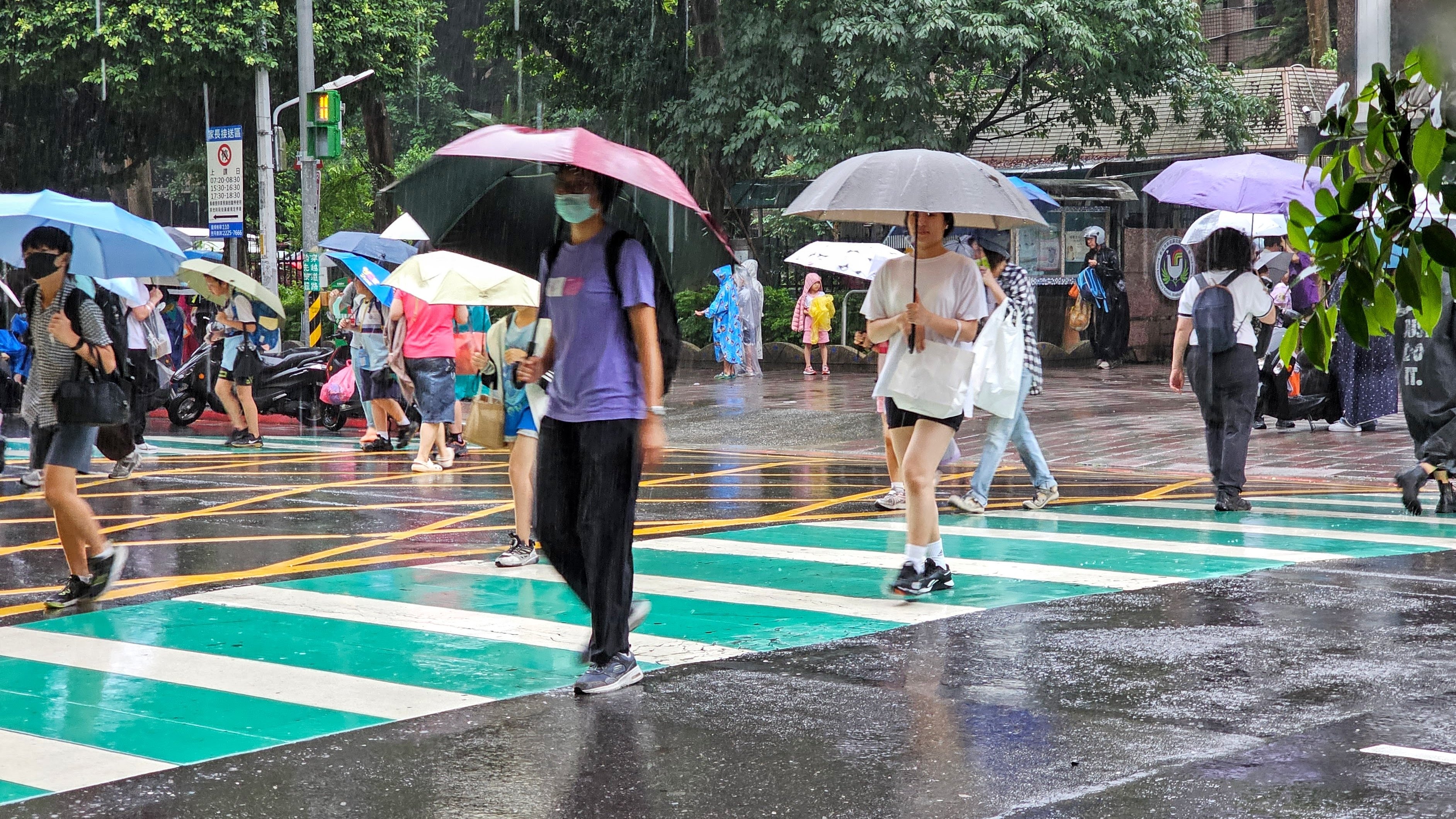 有機會颱風假？巴威「８縣市暴風圈侵襲率破５成」含北北基，這時防豪雨彈