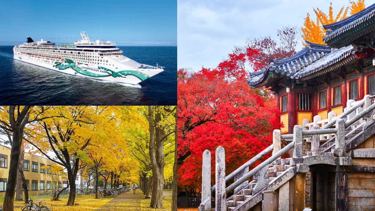 限時免費索票入場！2026台北夏季旅展必看優惠：出國免萬元行程、天天抽機票
