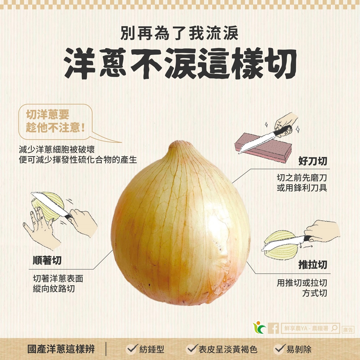 洋蔥常溫可以放多久?教你正確保存「1狀況別吃恐已發霉」,加碼不流淚切法 洋蔥常溫可以放多久?教你正確保存「1狀況別吃恐已發霉」,加碼不流淚切法