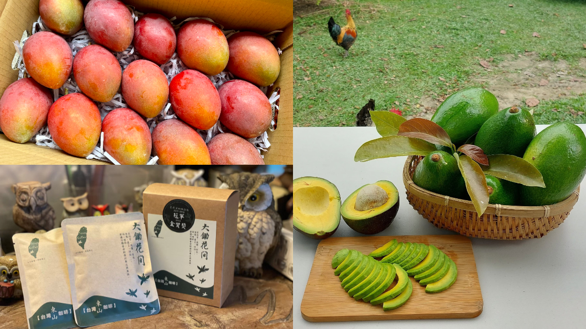 台南小農平台上線！產地直送愛文芒果、酪梨、東山咖啡，滿千送150元果乾
