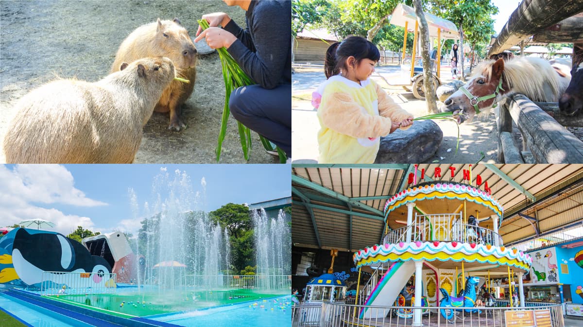 動物園、水樂園一票玩到底！台南高CP值親子景點玩整天，遊樂設施無限搭乘