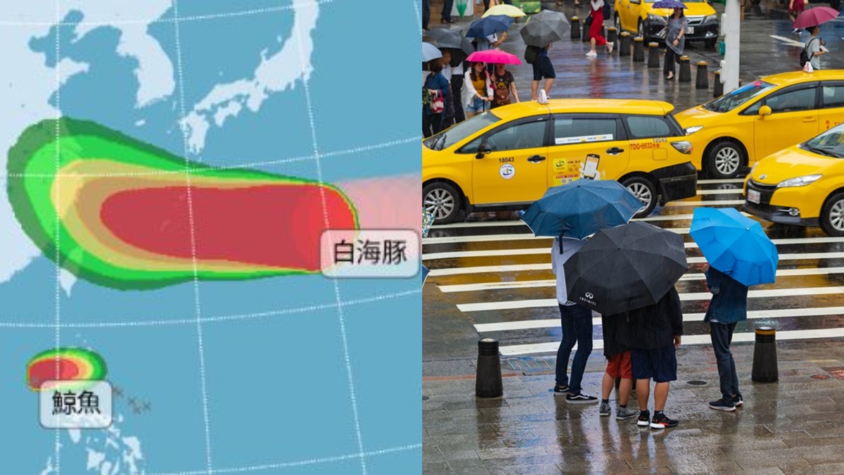 昌鴻颱風最快明生成！白海豚、鯨魚颱風最新路徑曝，週末雨勢恐加大