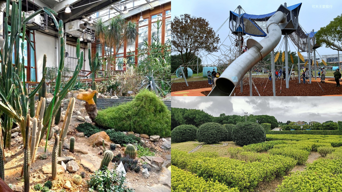 台北私房景點！這座植物園免門票、冷氣超強，外面有迷宮花園、巨型溜滑梯