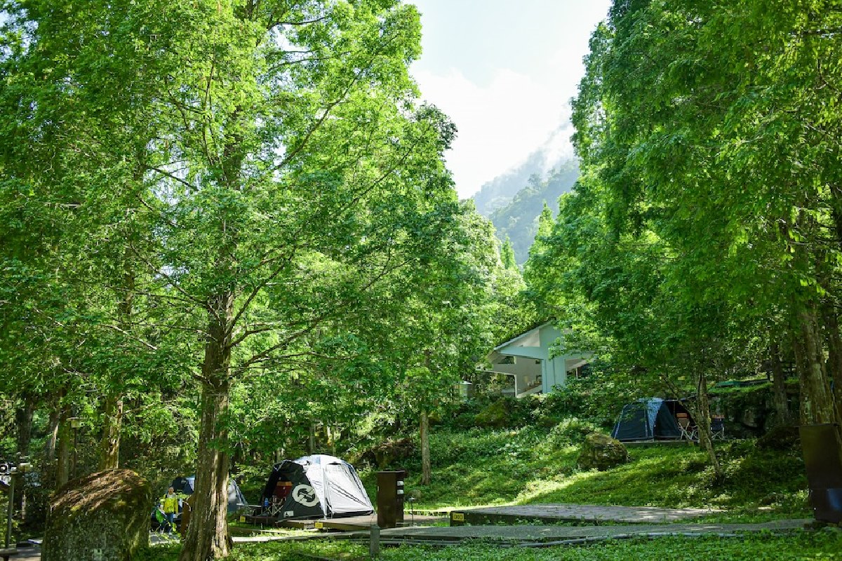 老屋變綠建築、智慧低碳露營！６間「綠生態永續」住宿推薦，投票抽住宿券