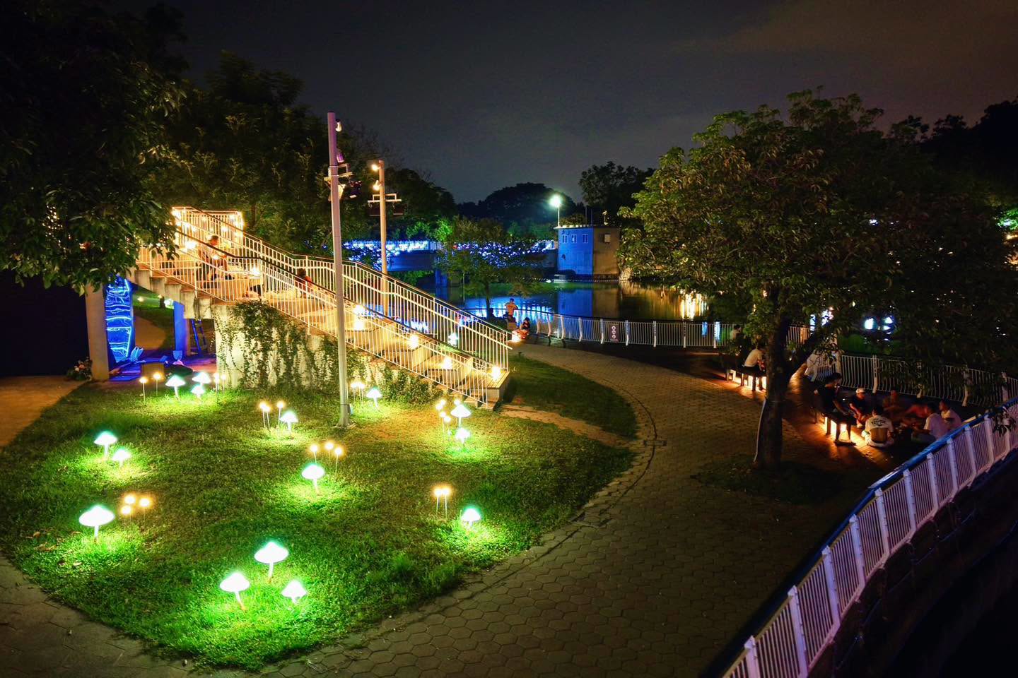 賞夜景新去處！絕美「湖畔光影秀」超好拍，週末市集演唱、夜踩天鵝船