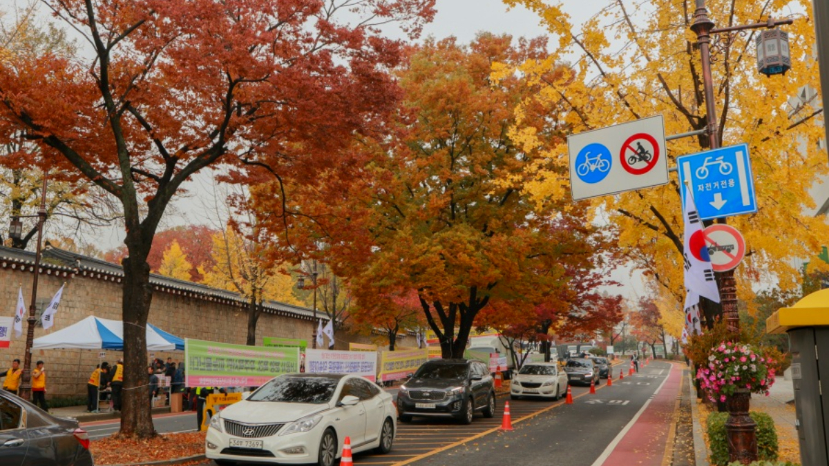 銀杏大道、宮殿紅葉！首爾10大賞楓秘境：「鬼怪」拍攝地、纜車美景一次收藏