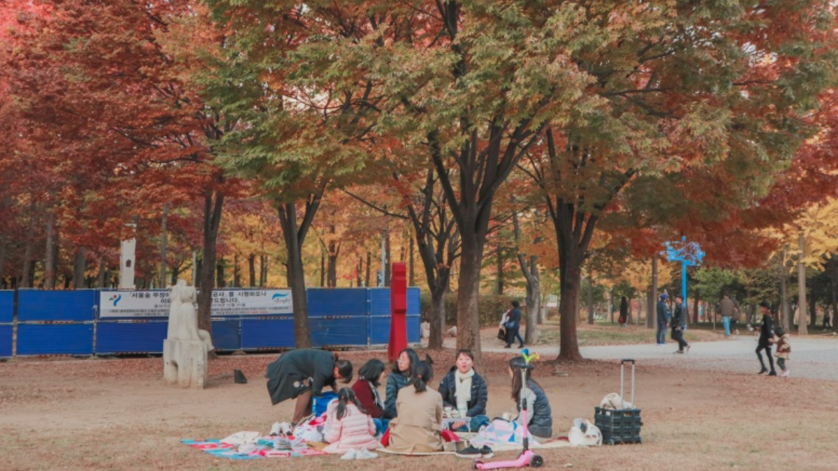 銀杏大道、宮殿紅葉！首爾10大賞楓秘境：「鬼怪」拍攝地、纜車美景一次收藏