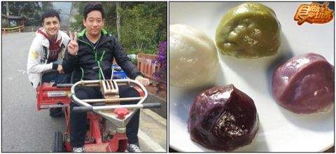 三義春遊去!爽爽吃爽爽玩!