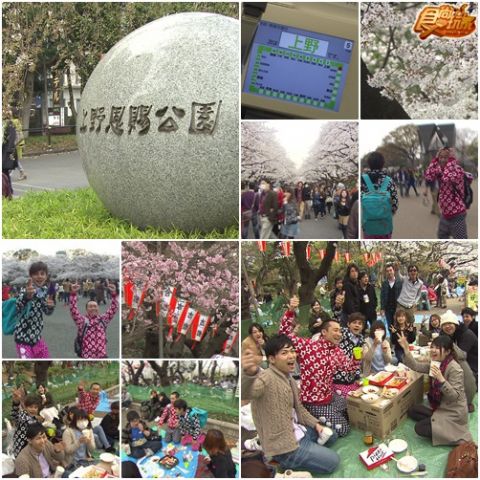 亞洲最強六大城市PK ㄨㄚ係背包王 3