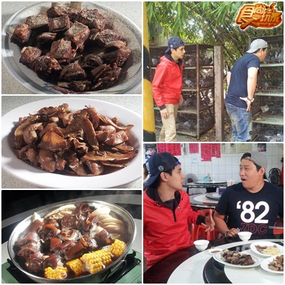 在地激推!高雄尚青好料吃夠本!