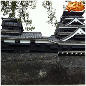 熊本這樣玩! 超驚奇之旅初體驗