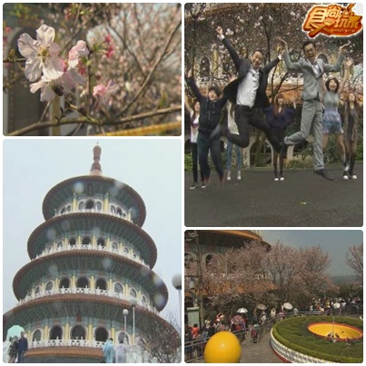 委託會社開張囉 超熱血畢業小旅行