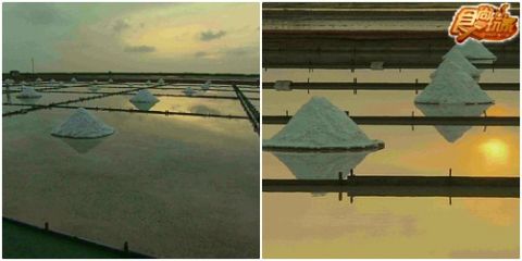 蕃茄兄弟生死鬥 全台十大懸案