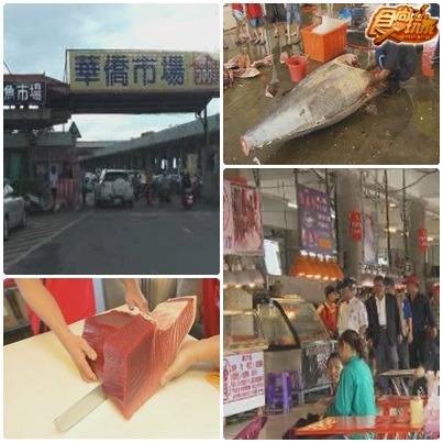青春不老傳說 東港趴趴走 青春不老傳說 東港趴趴走