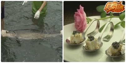 熱血蘭陽之美食黃金傳說 熱血蘭陽之美食黃金傳說